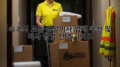 속초시 교동 용달이사 업체 추천 및 이사 방법 선택 가이드
