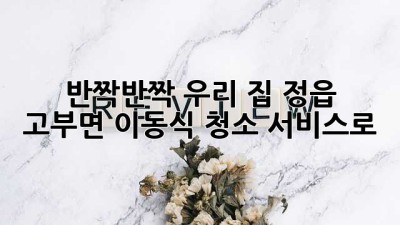 ✨ 반짝반짝 우리 집! 정읍 고부면 이동식 청소 서비스로 ✨