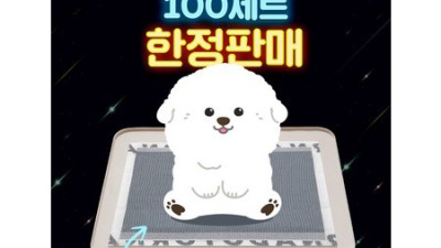 듀먼패드 솔직 후기! ✨꿀팁 & 할인 정보 공유