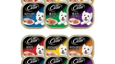 ✨ 놓치면 후회! 시저캔 100g 득템 후기 & 꿀팁 대방출 🐶